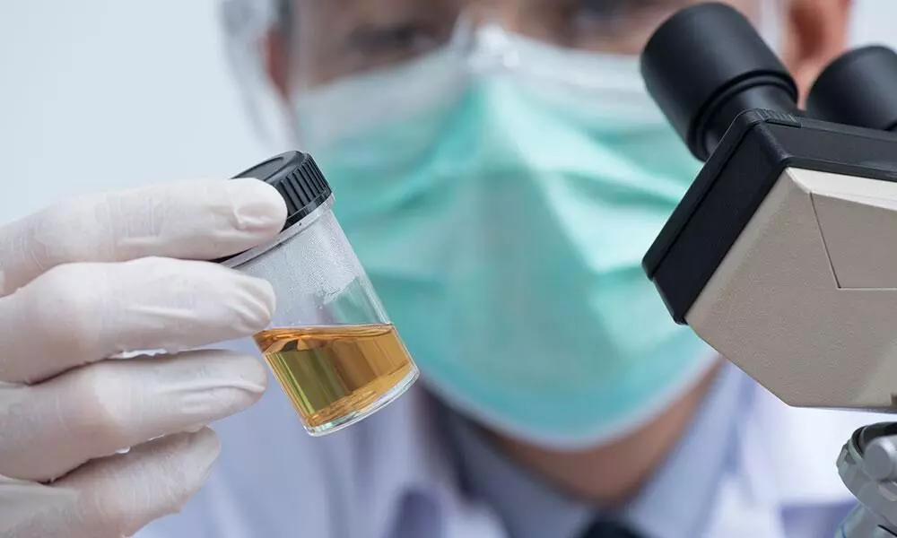 Widely used preoperative urinalysis usually unnecessary: JAMA study