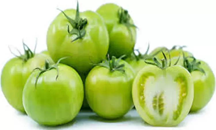 Green tomatoes useful in diabetes as they lower blood sugar and Oxidative stress: Study