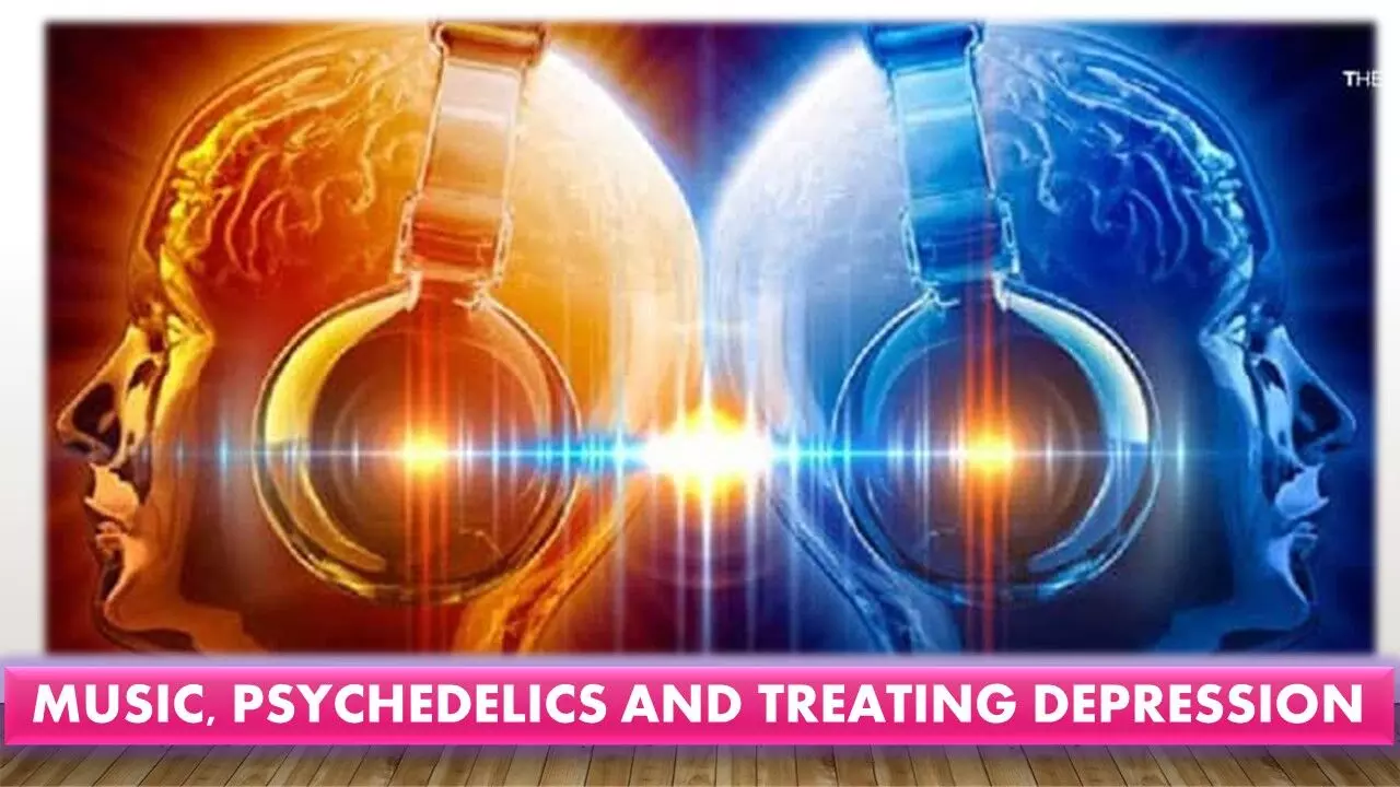Emerging perspectives: The role of psychedelics to treat psychiatric disorders