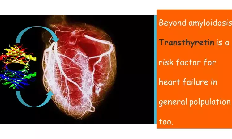 Misfolded transthyretin: a novel risk factor for heart failure, JAMA study