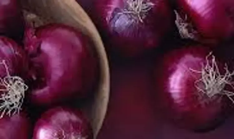 Red Onion Extract may lower blood sugar, Improve Overall Health: Study