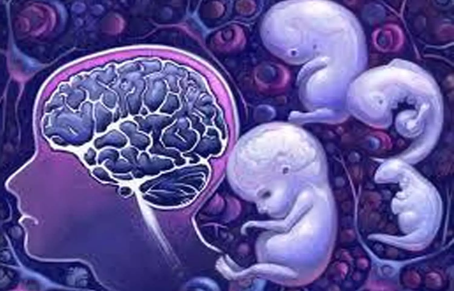 Parental socioeconomic status affects brain development in fetus: Study