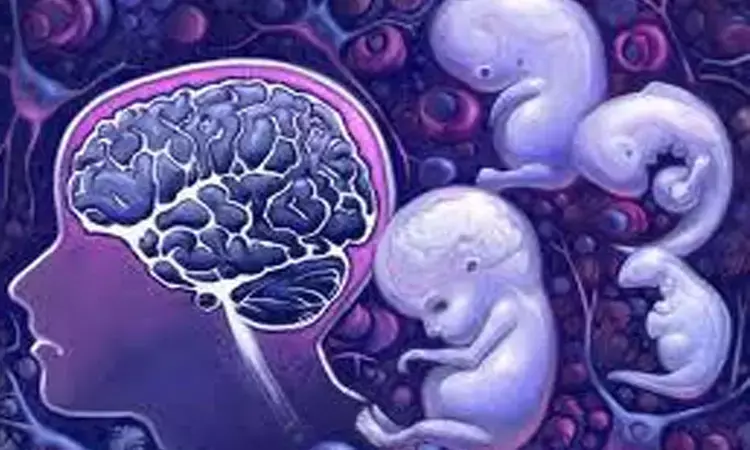 Parental socioeconomic status affects brain development in fetus: Study