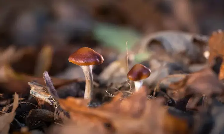 Magic mushroom compound performs as well as escitalopram in depression: NEJM