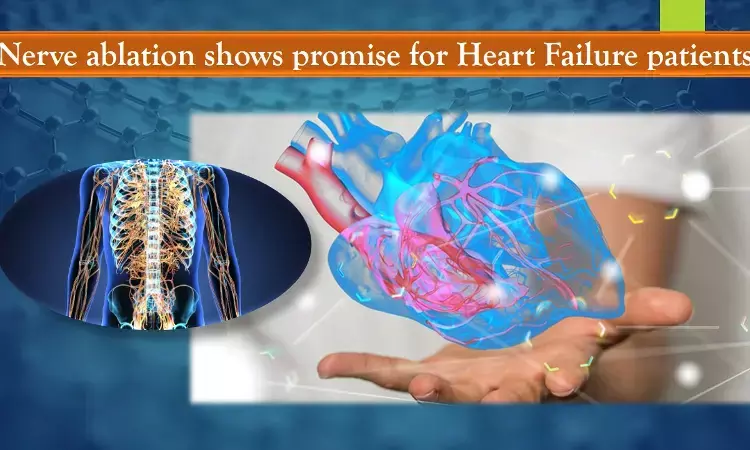 Splanchnic nerve ablation effective in HF with preserved ejection fraction, shows first-in-human study.