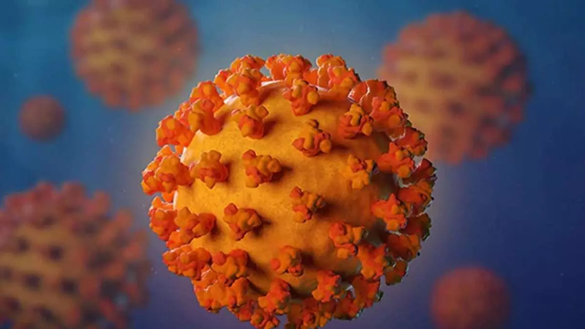 New variant of novel coronavirus: Omicron a new global threat!