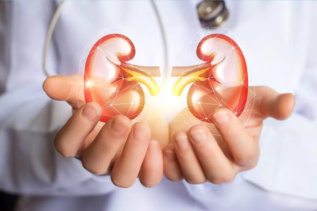 https://medicaldialogues.in/h-upload/2021/06/15/155950-kidney.webp