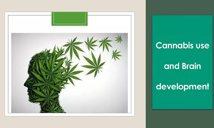 Cannabis use hampers cerebral cortex development in adolescents, JAMA study.