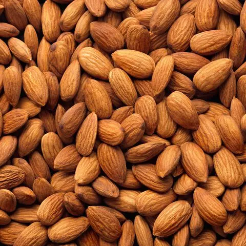 Almonds have potential to prevent prediabetes: Study
