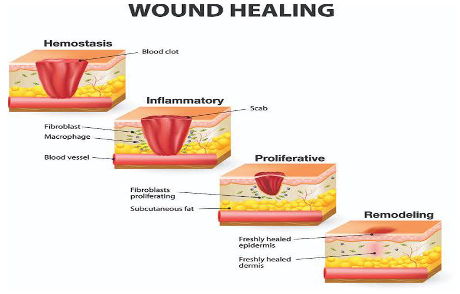 Wound Healing Before And After