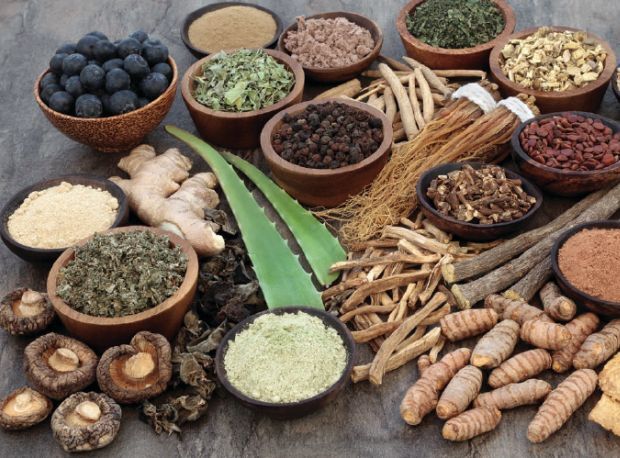 Types Of Siddha Medicine