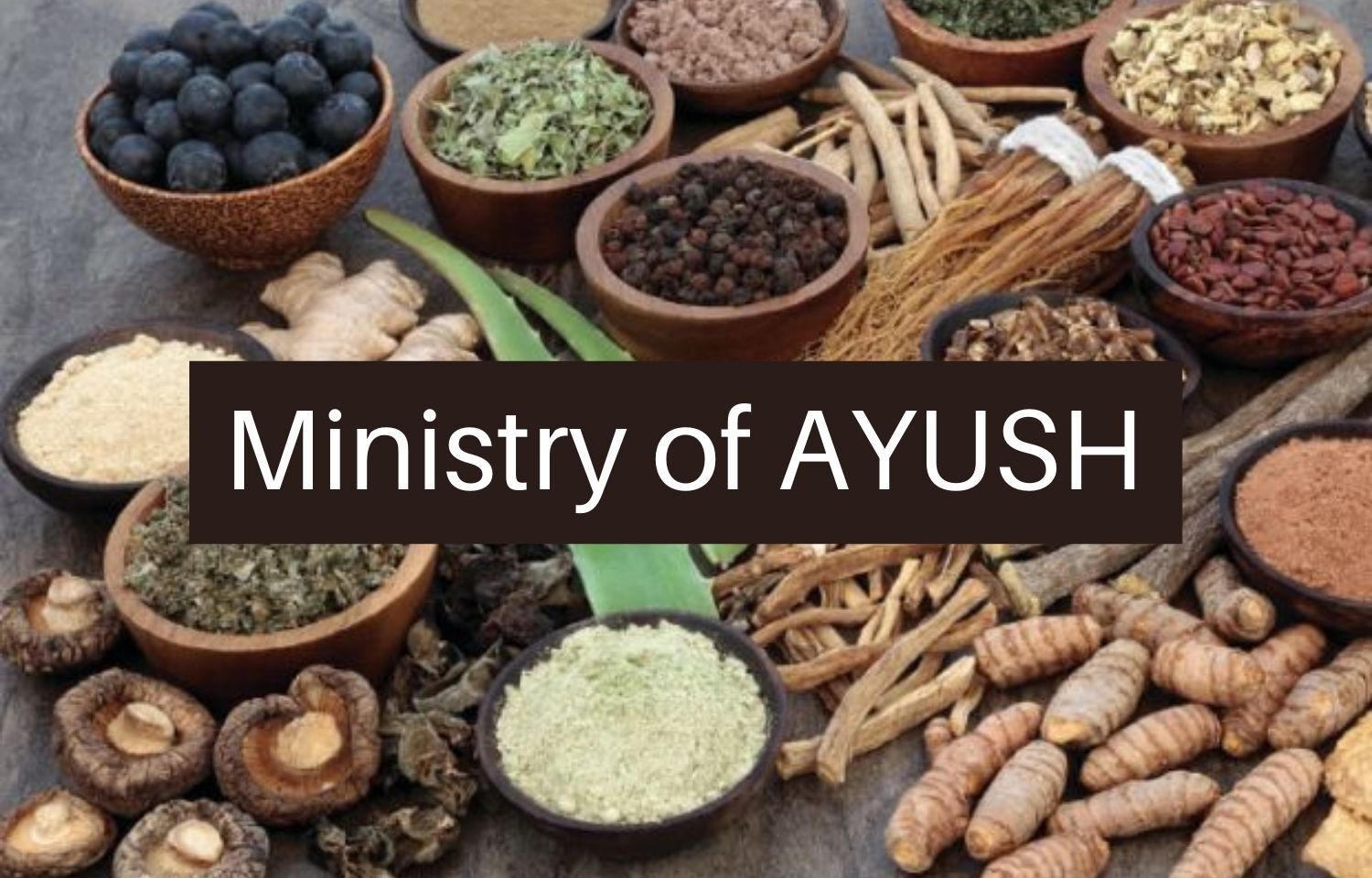 Ministry Of AYUSH Announces Video Making Competition On Theme 'Har Din ...