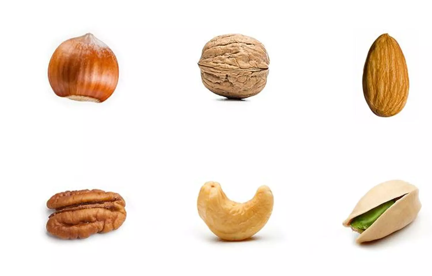 Everything You Need to Know about Tree Nut Allergy