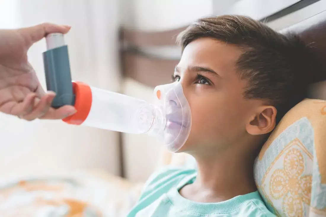 Corticosteroids inhaled once daily give better drug adherence in children with asthma: Study