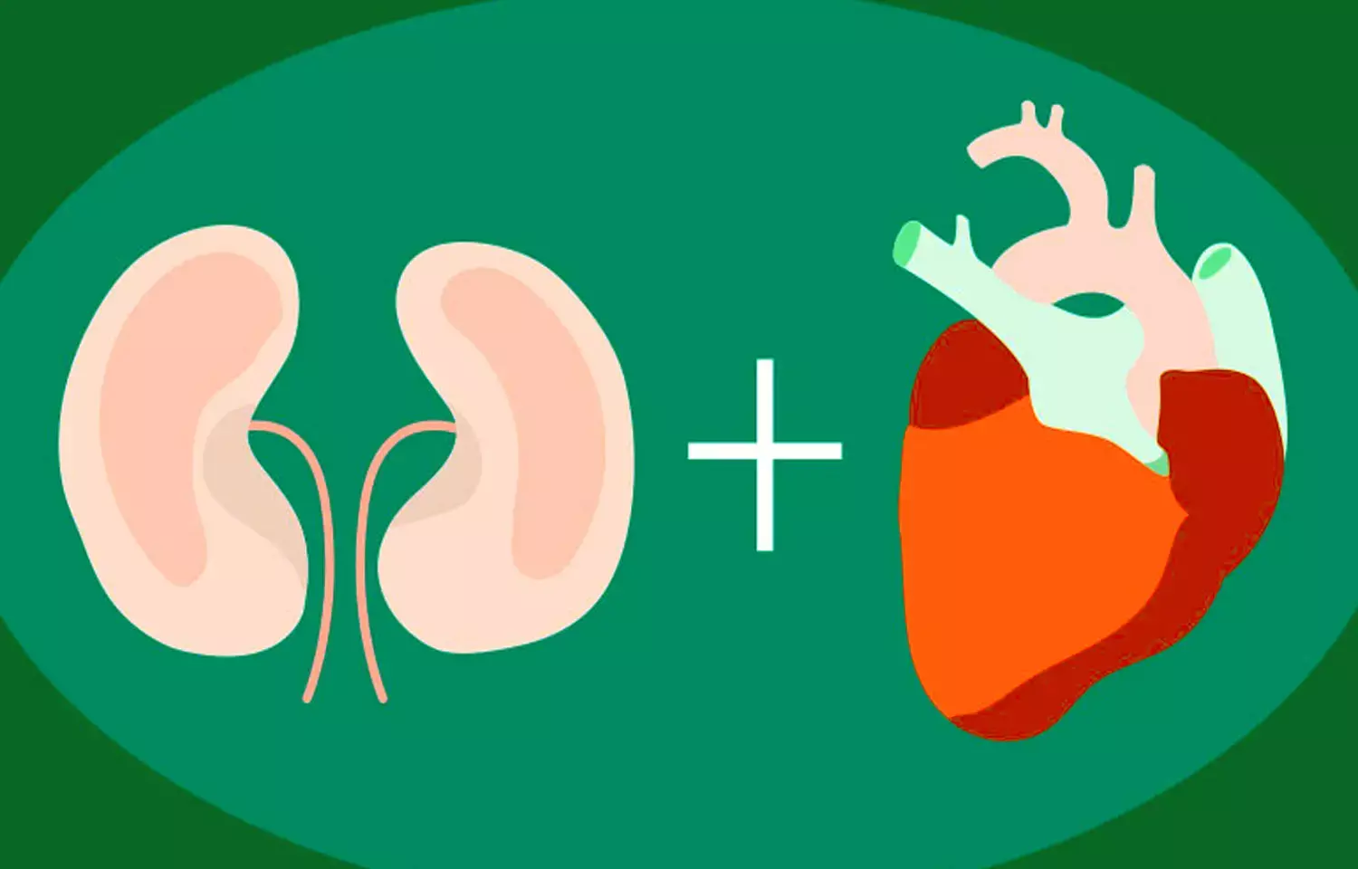 Renal function deterioration among diabetes patients strongly linked to HF hospitalization