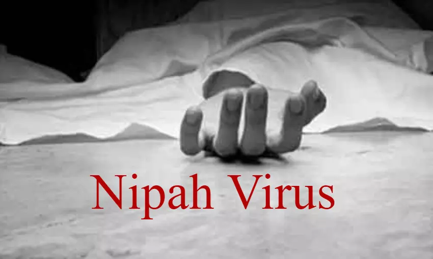 Kerala on high alert as Nipah virus reappears, claims 1 life
