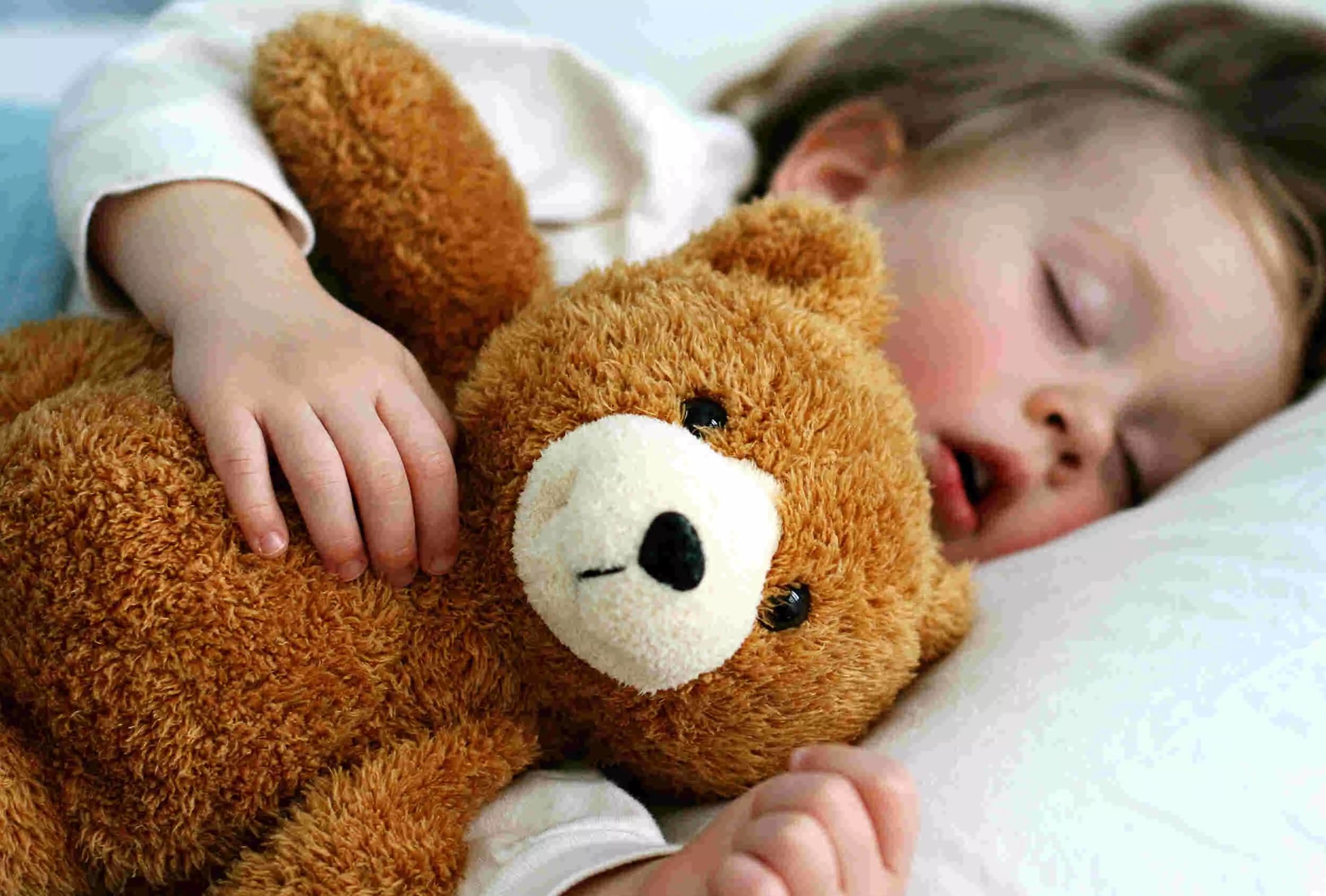 Stuffed Toys Pose Risk for Sleep Disorders in Children : Study