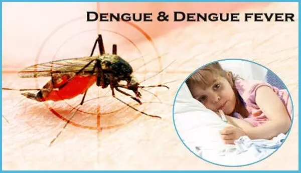 Persistent fever in severe dengue warrants workup for secondary bacterial infection: study