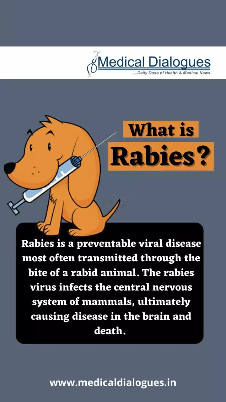 World Rabies Day 2021