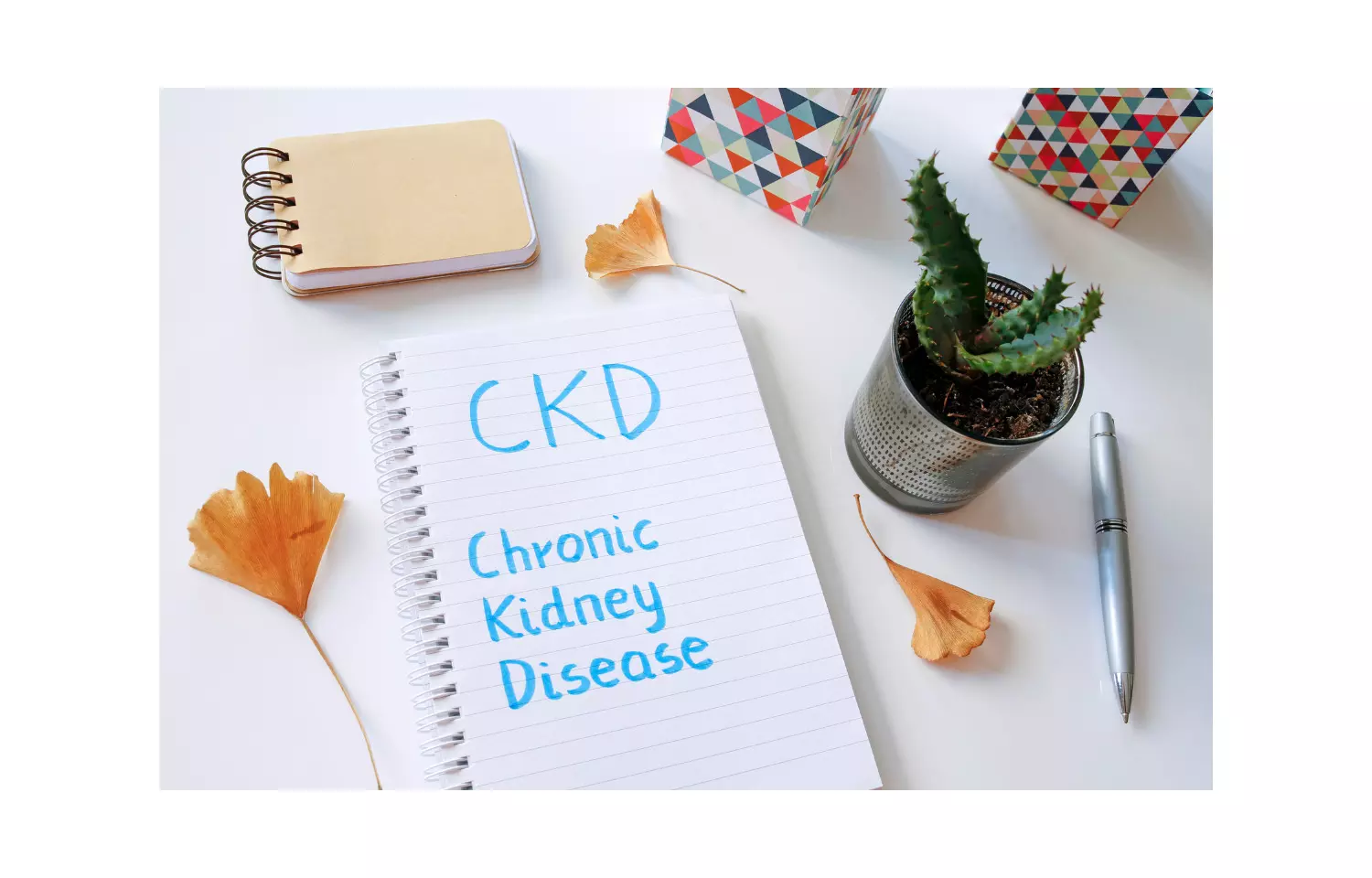 Bariatric surgery and weight loss halt progression of CKD, finds study