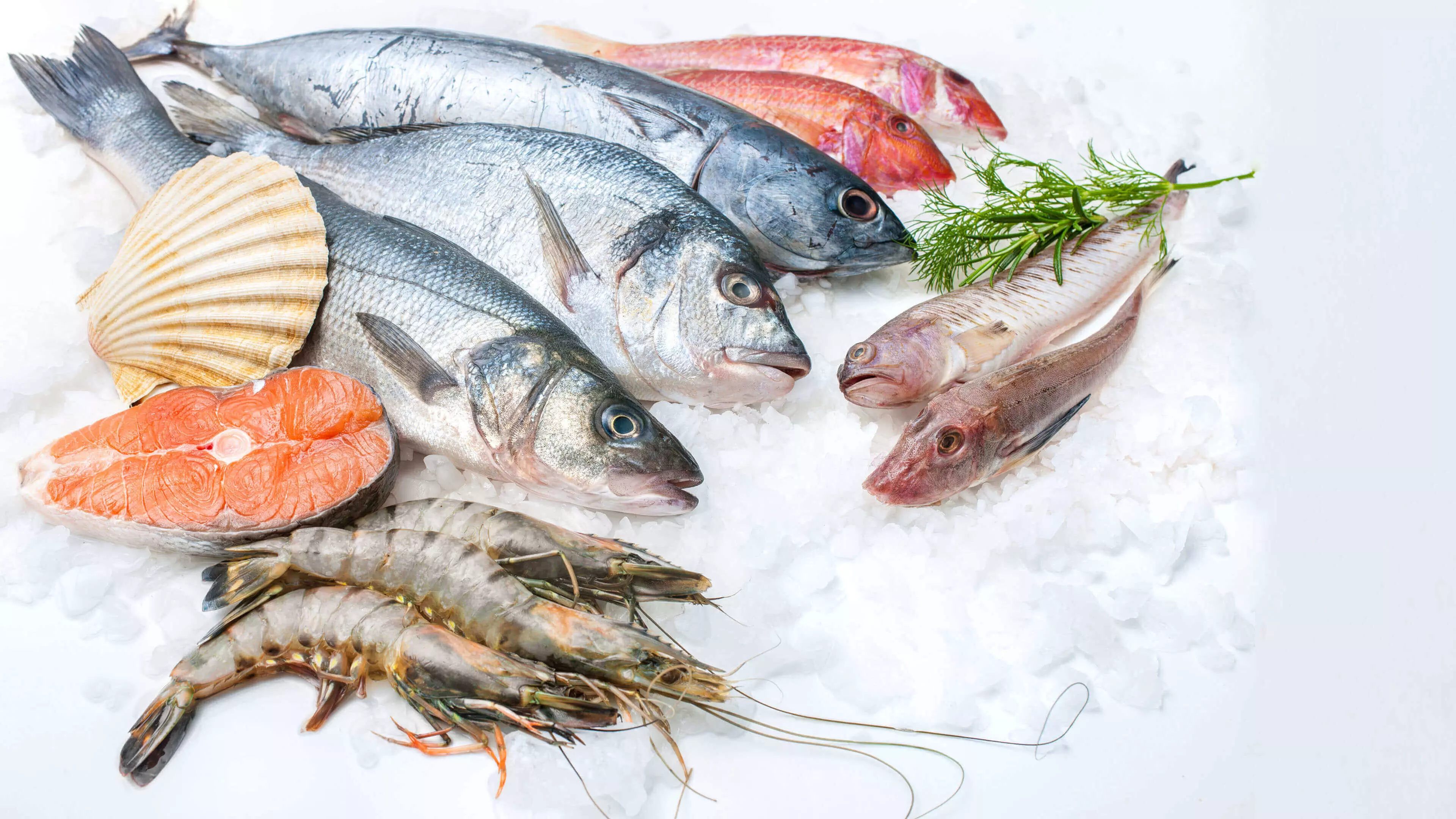 Consumption of more than 350 gram fish per week may prevent preterm birth, finds study