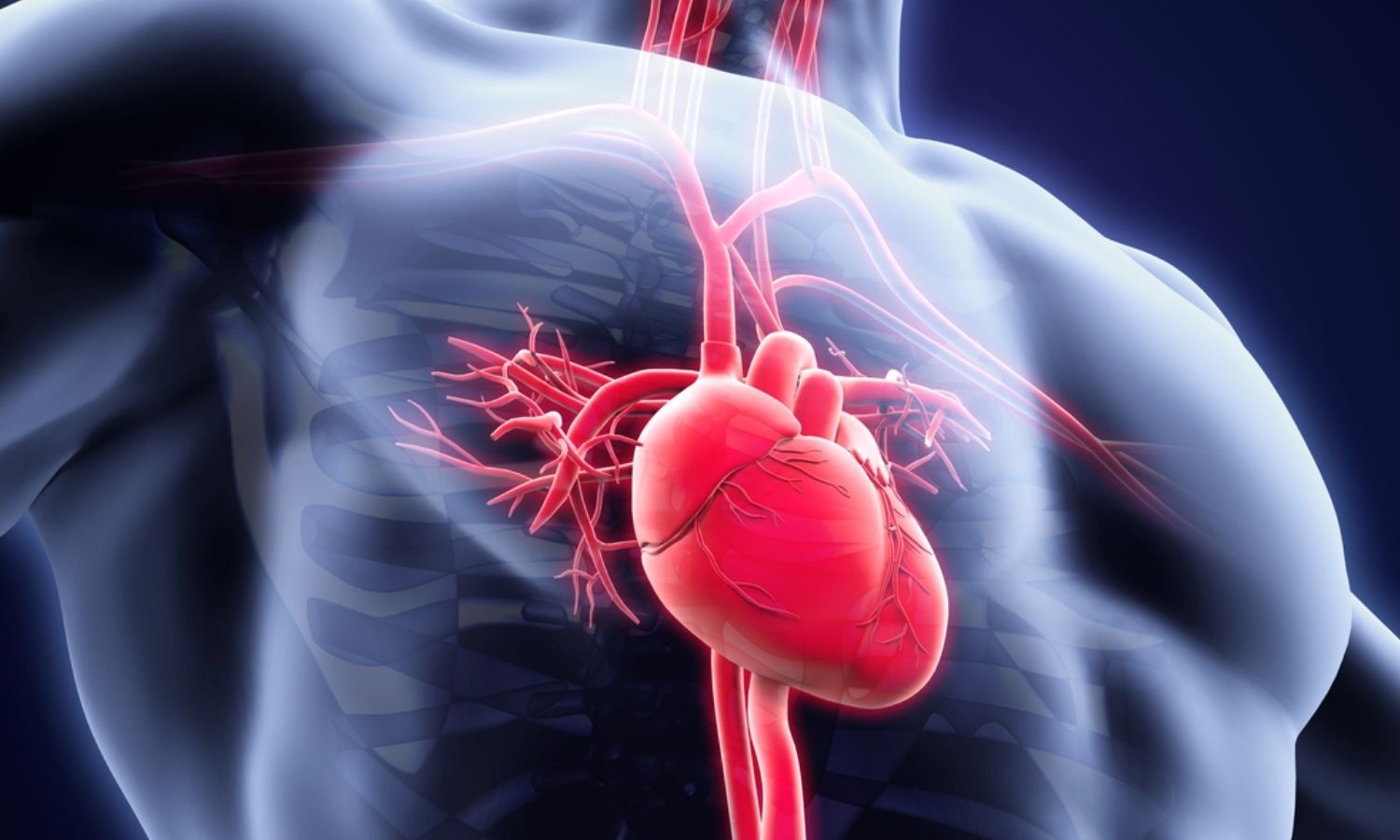 CMR phenotype tied to higher heart failure and arrhythmia risk in ...