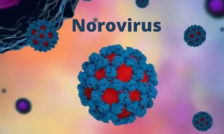 Norovirus: Karnataka districts on high alert, Govt issues guidelines