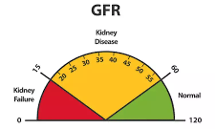 GFR decline and urinary excretion rates of sodium negatively related in CKD patients: study