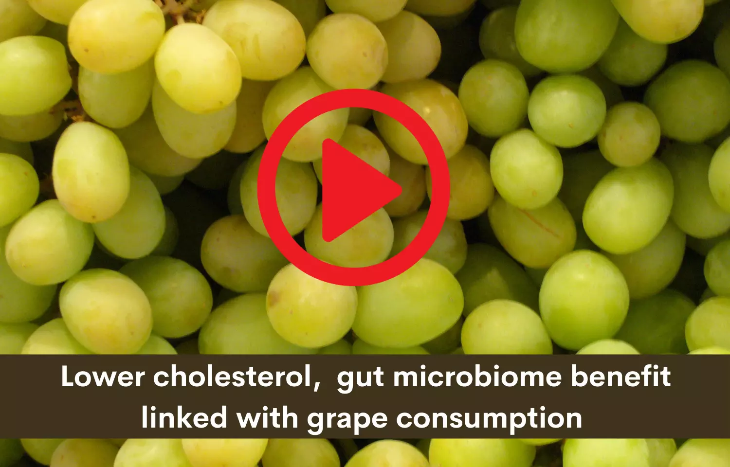 Lower cholesterol,  gut microbiome benefit linked with grape consumption