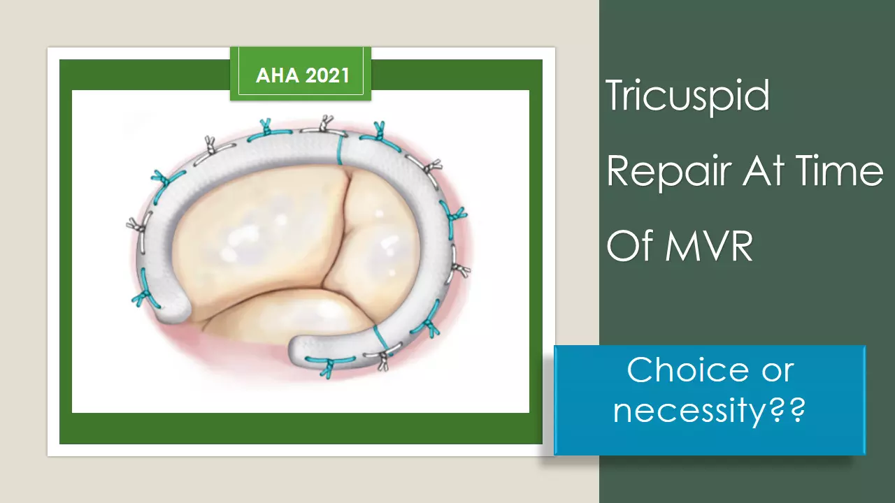 tricuspid valve