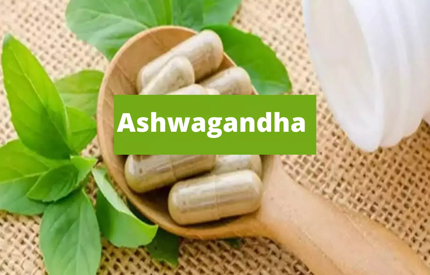 Ayush Ministry to re-examine advisory on efficacy of Ashwagandha
