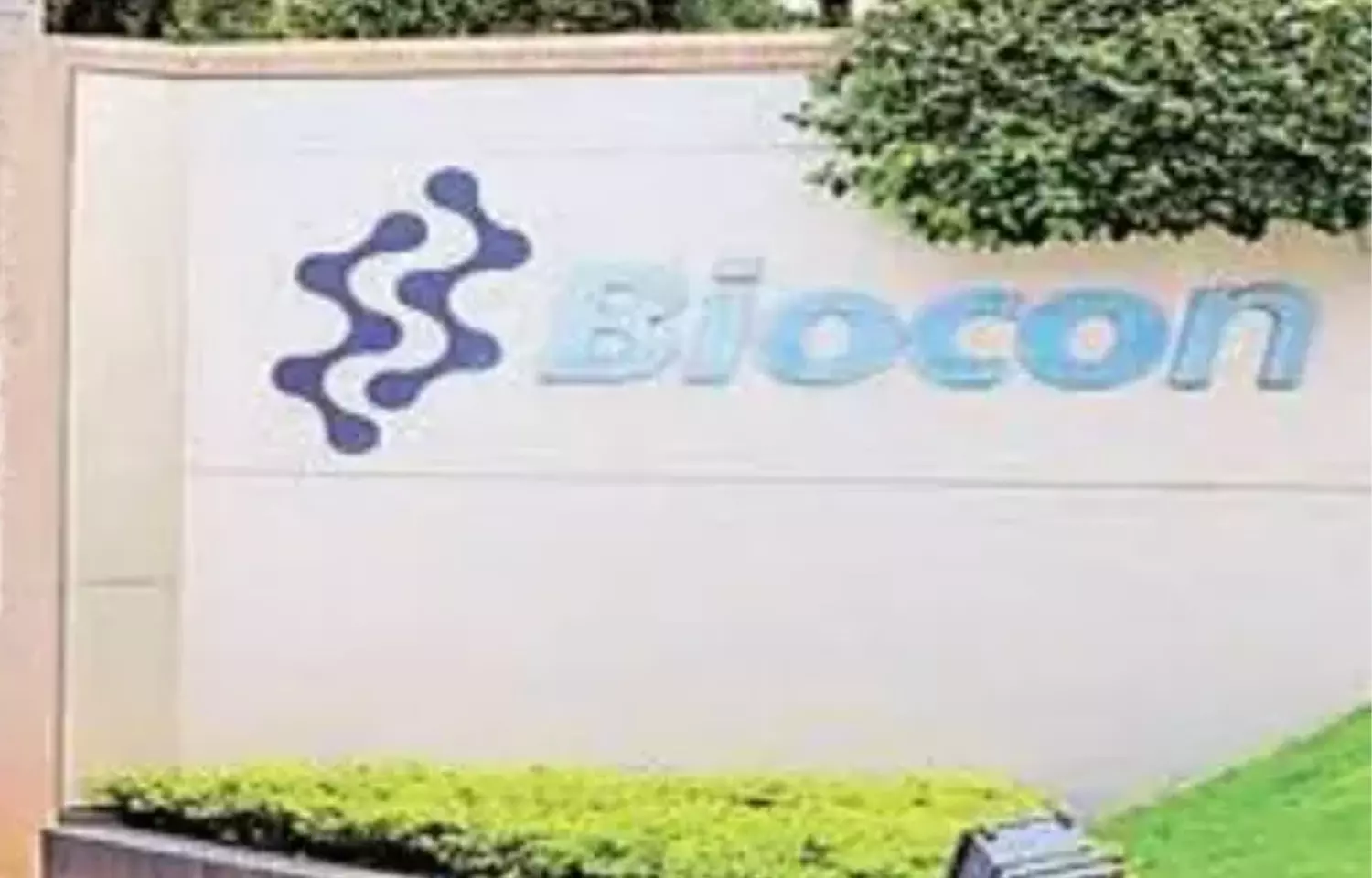 Biocon net profit up 71 pc to Rs 144 crore in June quarter