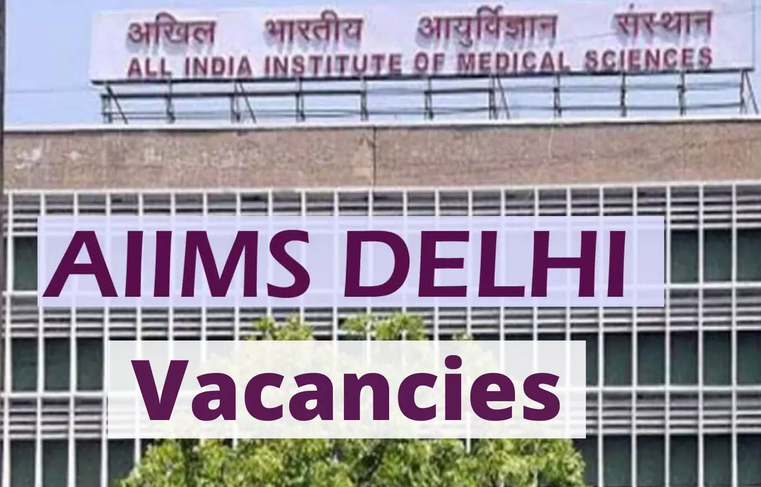 Walk In Interview at AIIMS Delhi for 82 Vacancies of Assistant Professor Post, Details