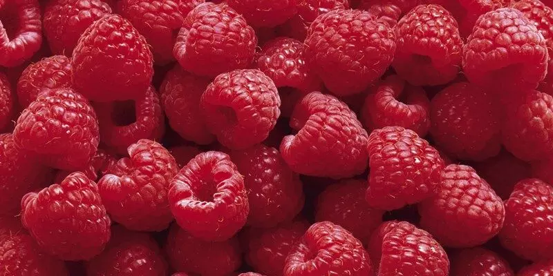 Raspberries Might Benefit Patients with Hyperglycemia & Dyslipidemia
