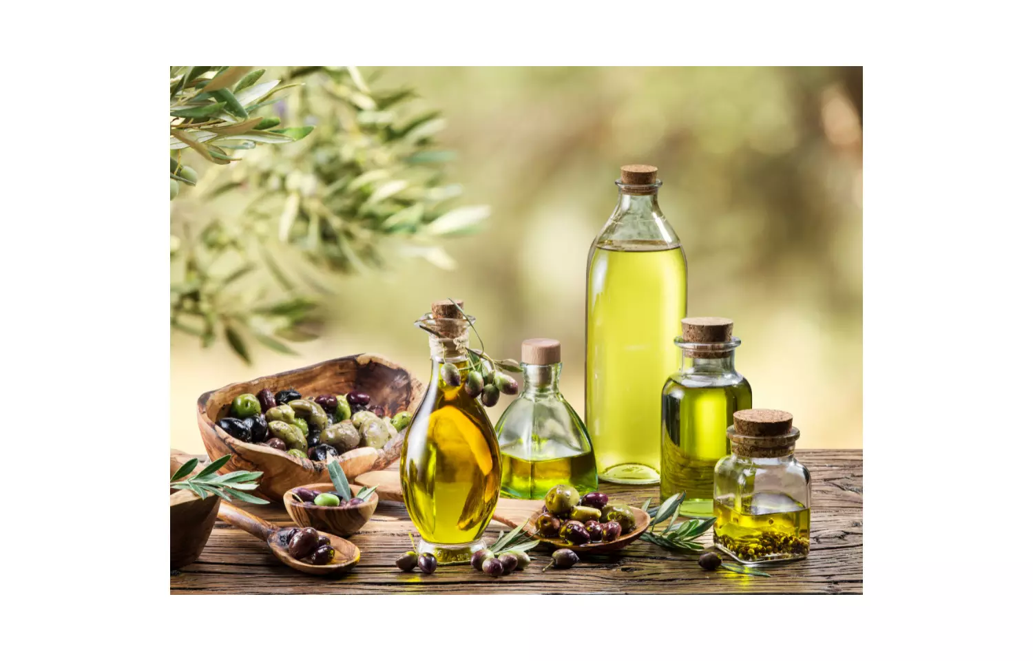 Olive oil consumption to reduce incidence of cardiovascular events: PREDIMED Trial