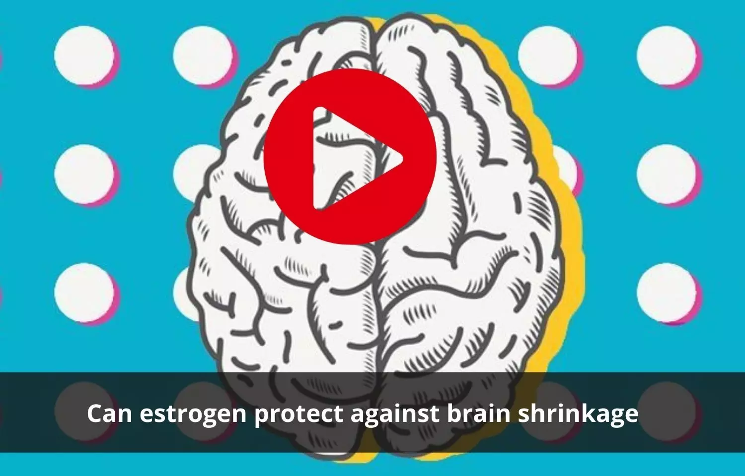 Estrogen  might be protective against brain shrinkage