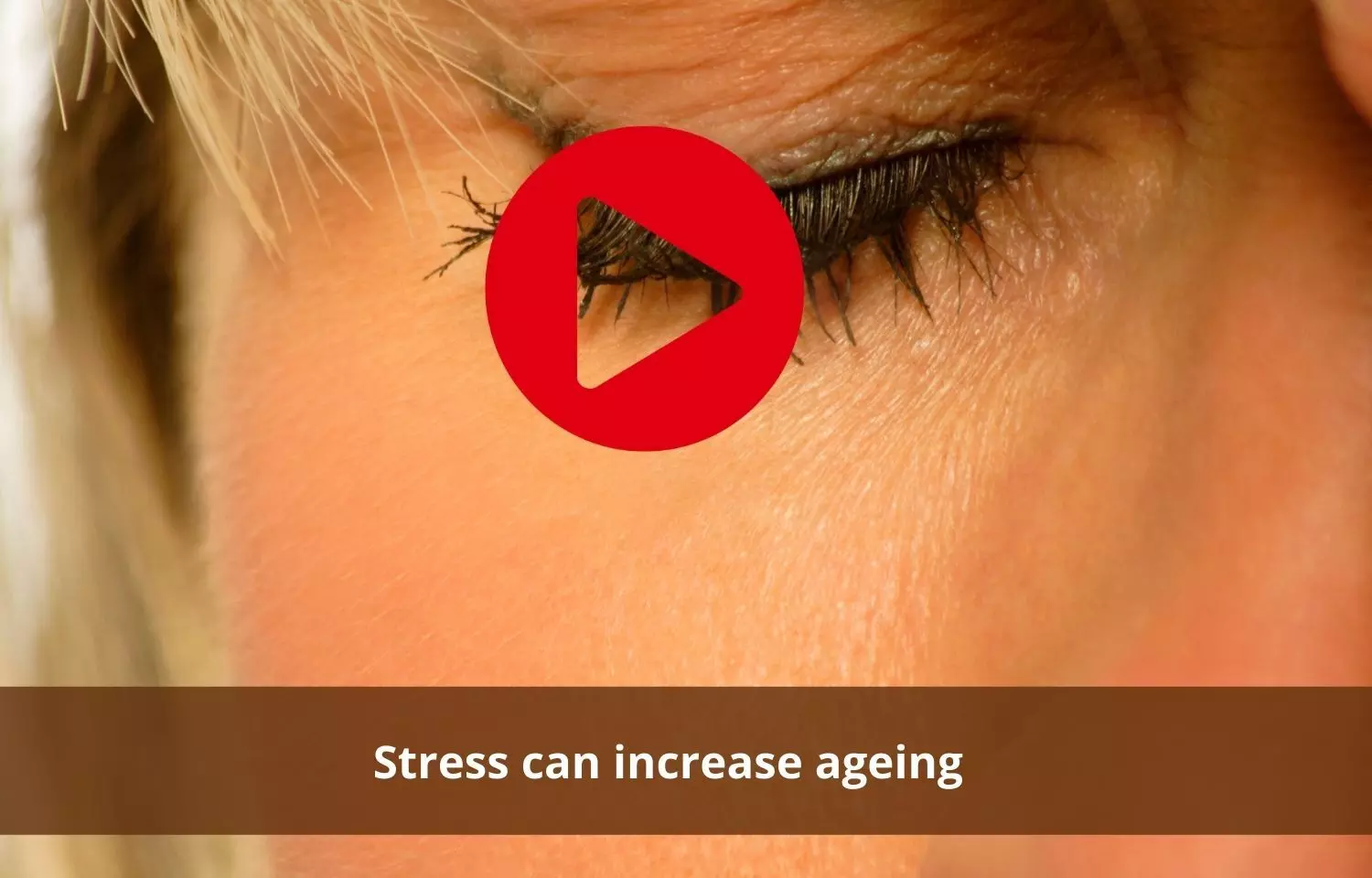 Stress to influence biological ageing  much faster