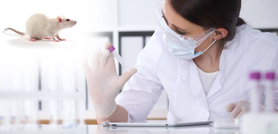 Health Ministry Proposes Conditional Waiver of Animal Toxicity Studies for Injectable Drugs with Identical Excipients