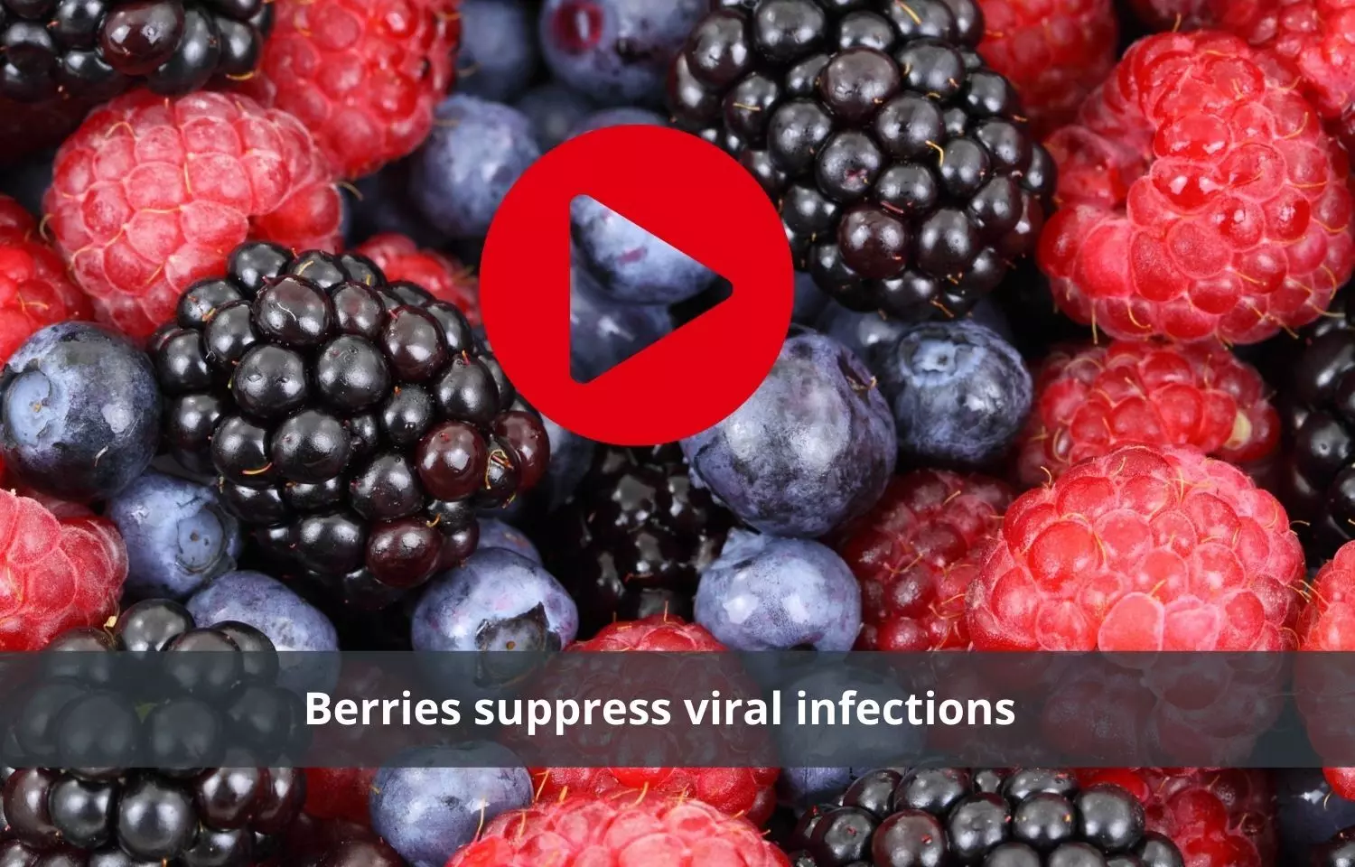 Berries consumption to prevent viral infections