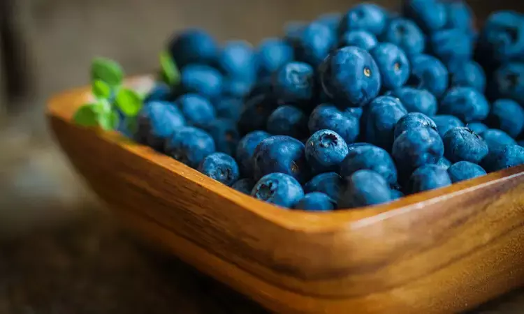 Bilberries have antidiabetic and anti obesity properties,finds study