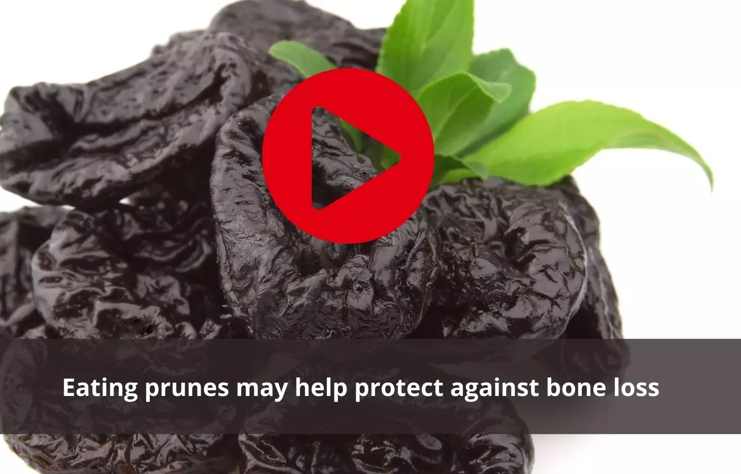 Consumption of prunes help protect against bone loss
