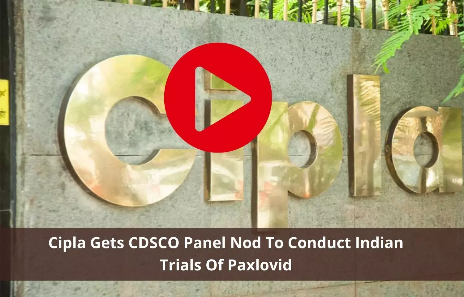 Cipla gets CDSCO panel green signal to conduct Paxlovid trials in India