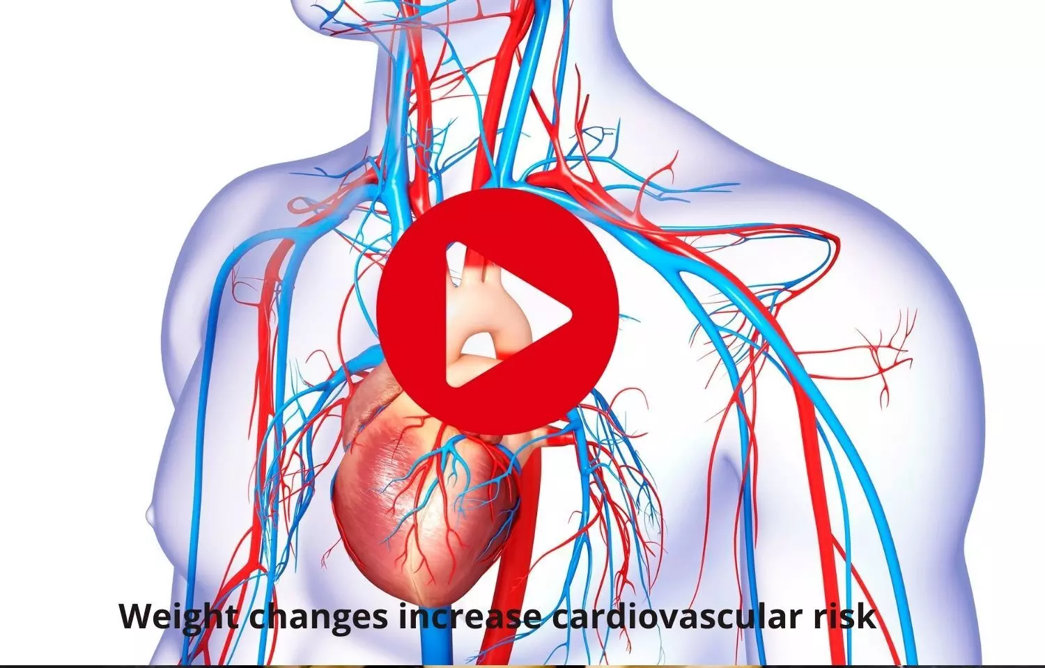 Weight fluctuations to influence cardiovascular risks