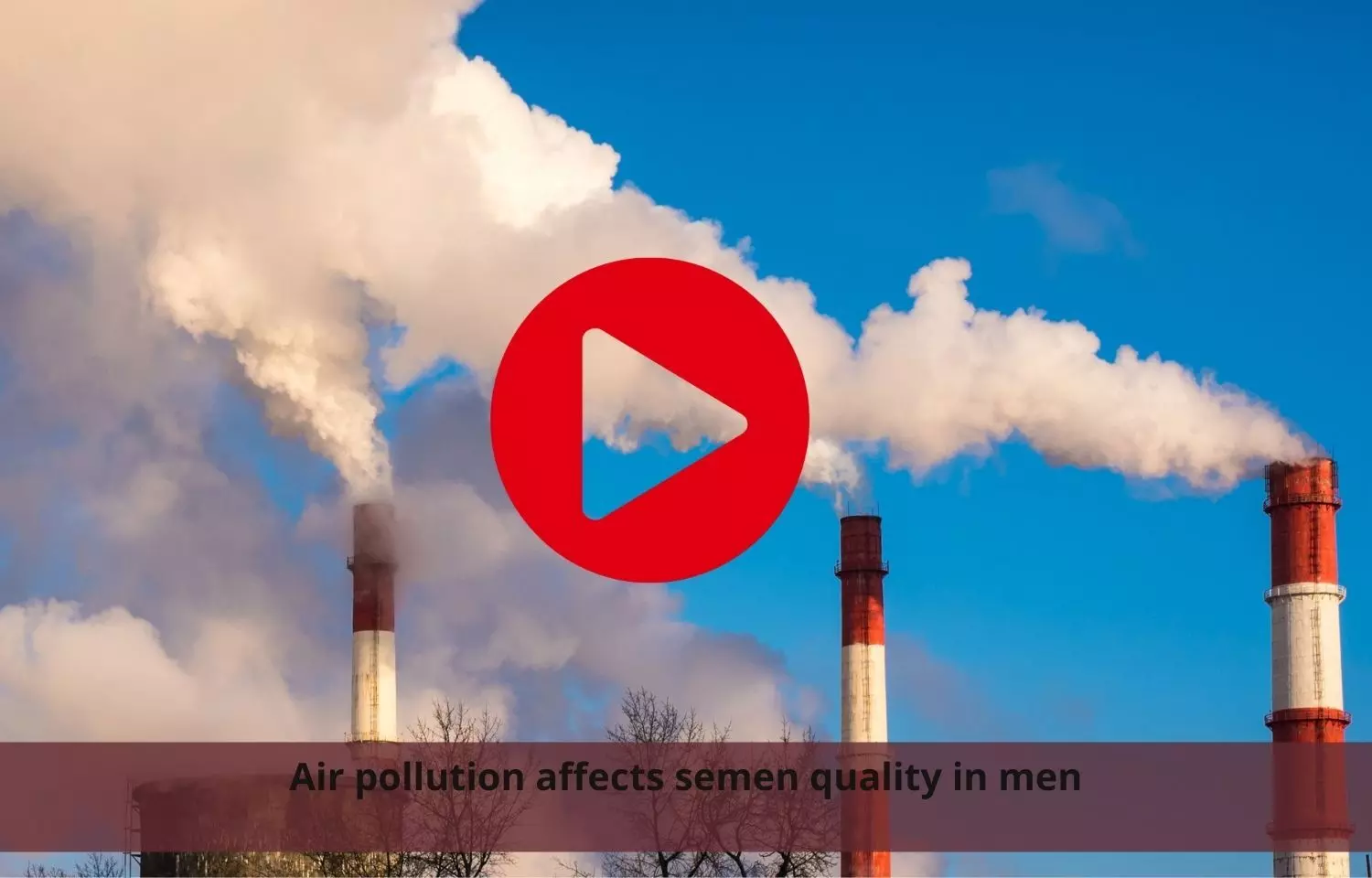 Air pollution associated with bad semen quality in men