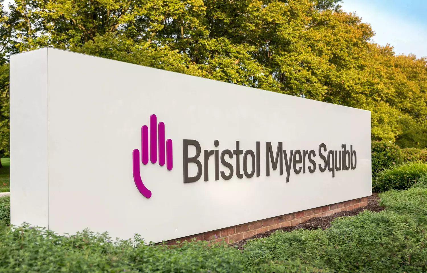Bristol Myers sues AstraZeneca over cancer-treatment patents