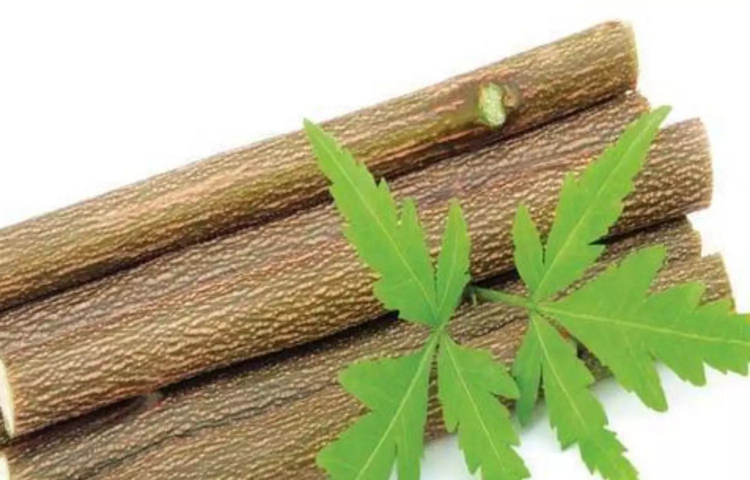 COVID- 19: Bark of Neem tree can protect against variants, suggests study
