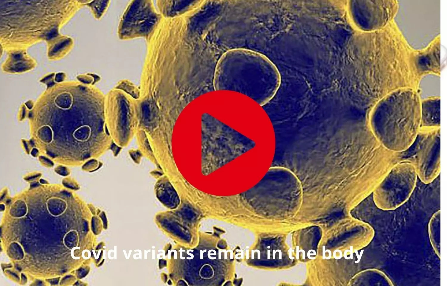 Covid variants to remain and hide in the body