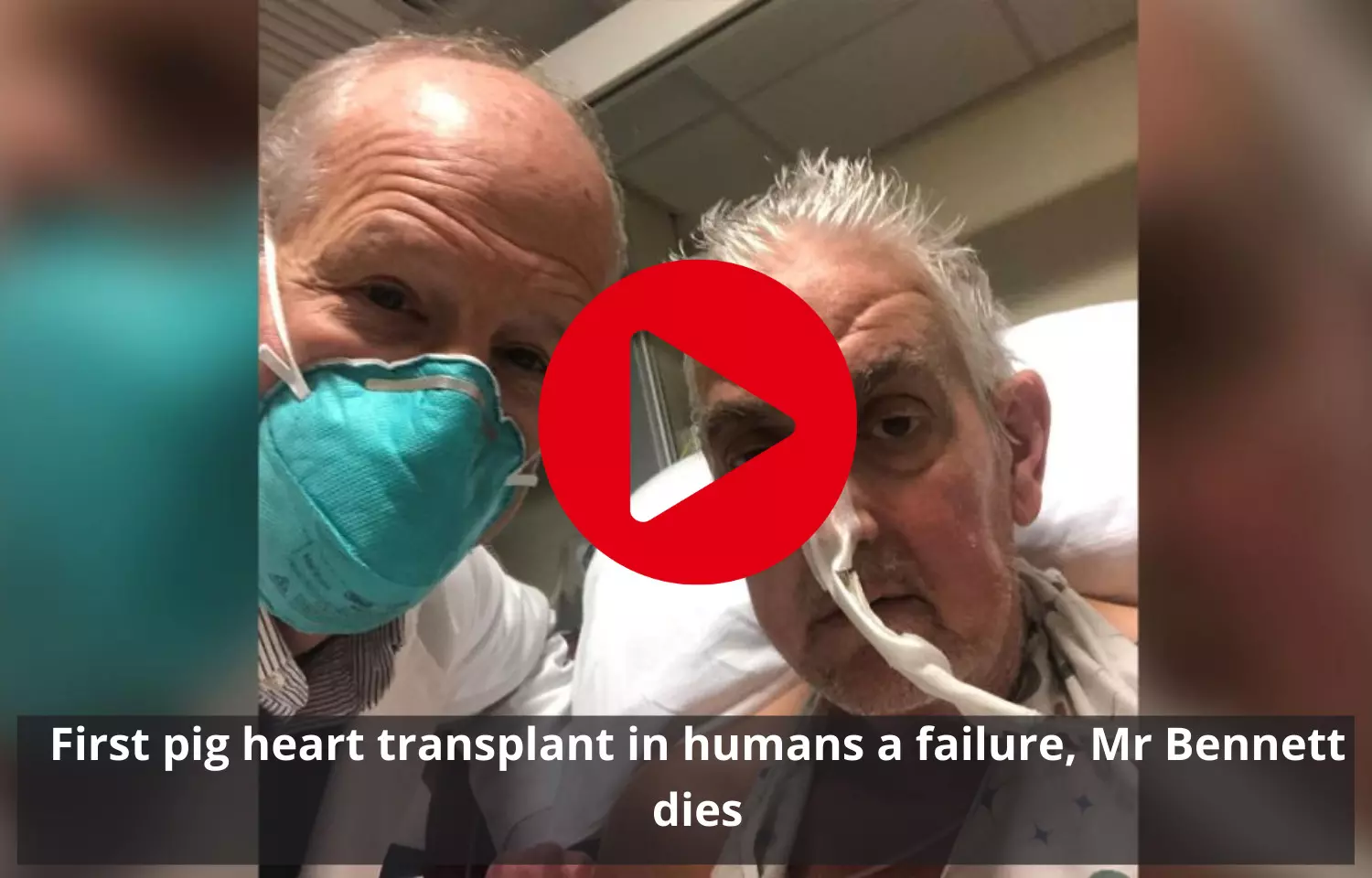 First pig heart transplant in humans a failure, Mr Bennett dies