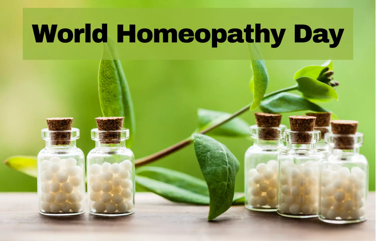 World Homeopathy Day Special: Understanding Homeopathy
