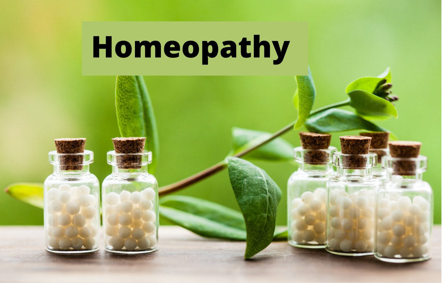 Tripura Govt Mulling To Establish Homeopathic Medical College